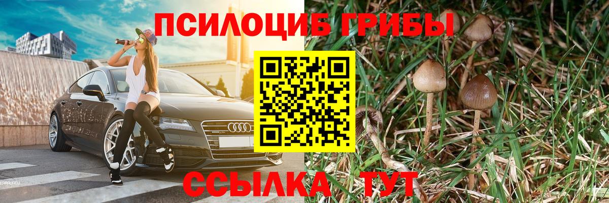 Унеча  Псилоцибиновые грибы мухоморы  Вход с VPN  Псилоцибиновые грибы Cubensis 