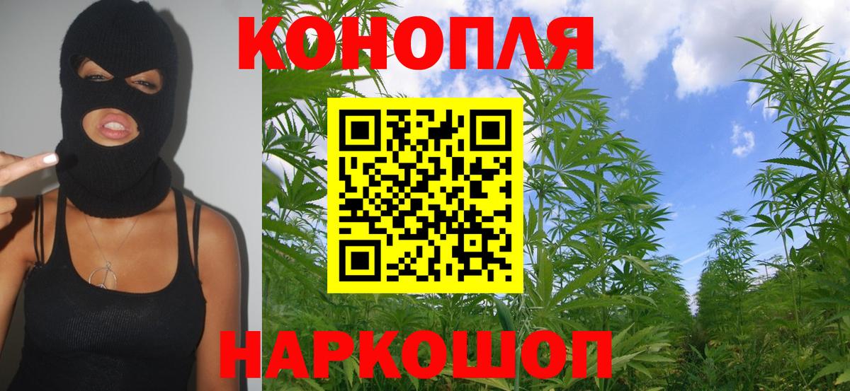 Марихуана план  Бошки Шишки планчик  Вход с VPN  Унеча 